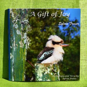 a-gift-of-joy