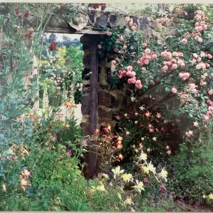 Rose - Thank You for Just Being You